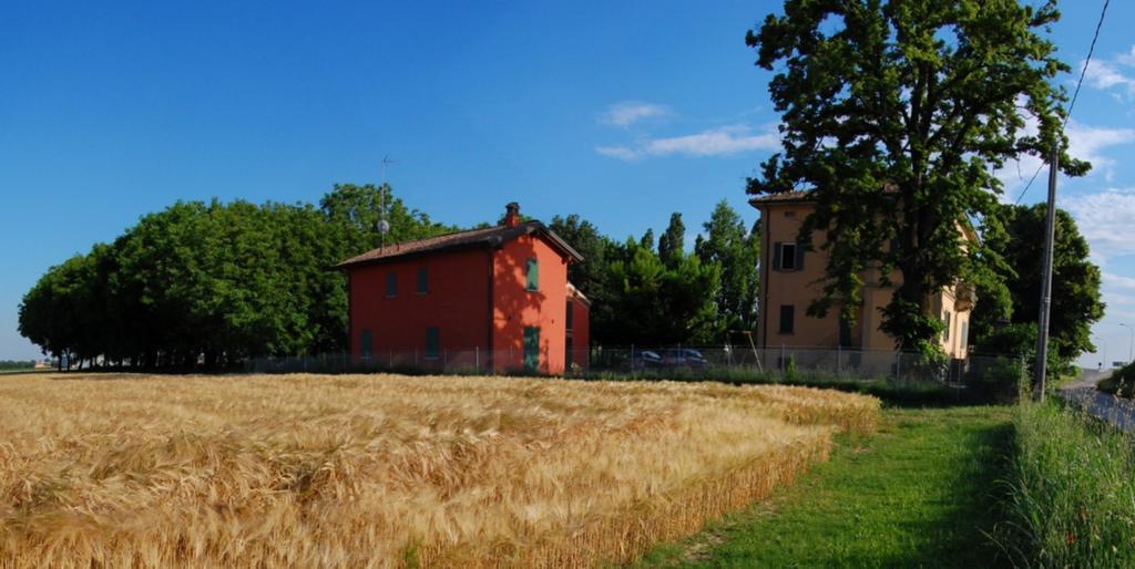 B&B L'Alberone Будрио Экстерьер фото